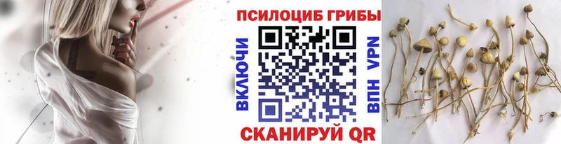 Галлюциногенные грибы Magic Shrooms  Таганрог 